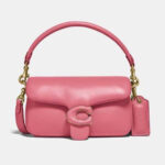 Coach Pillow Tabby - Image 4