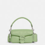 Coach Pillow Tabby - Image 3