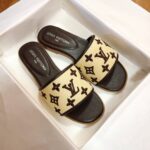 LV basic Slides - Image 2