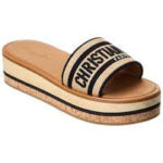 CD Dway Platform slides