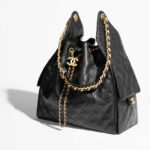 Chanel 25 Hobo Bag - Image 5