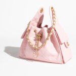 Chanel 25 Hobo Bag